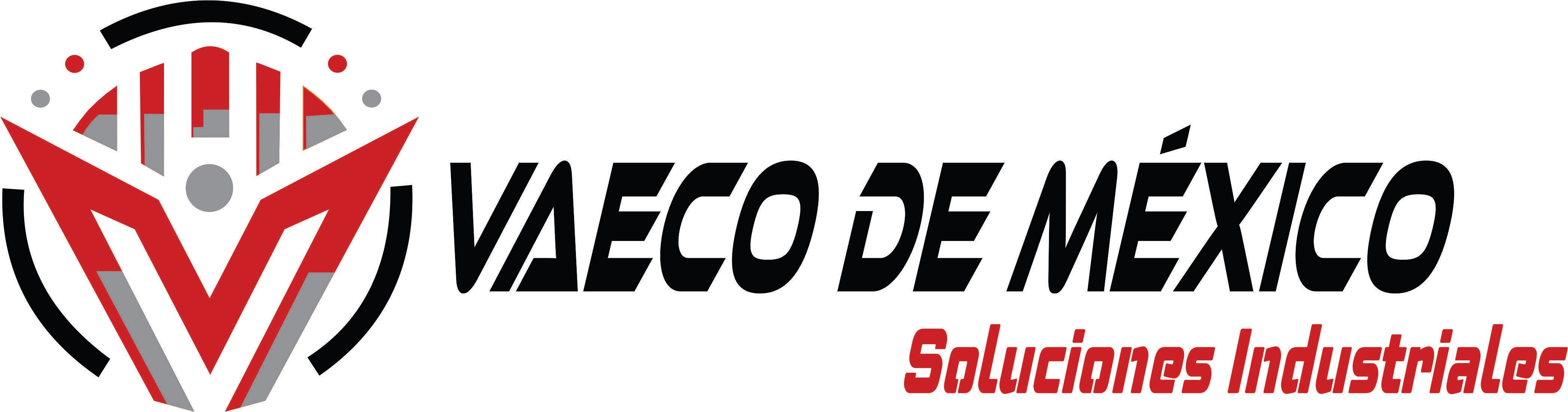 Logotipo VAECO 2025 Blanco